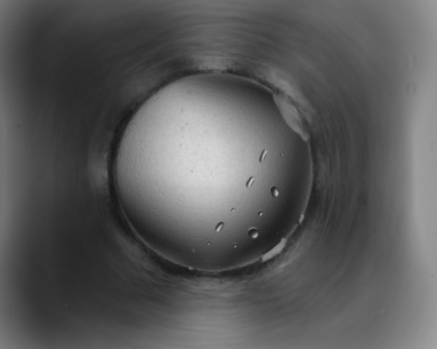 X0000089860681200707121736