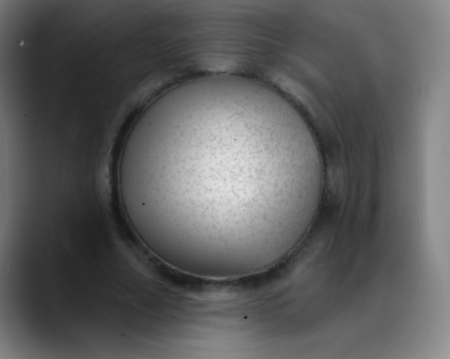 X0000089860682200707121736