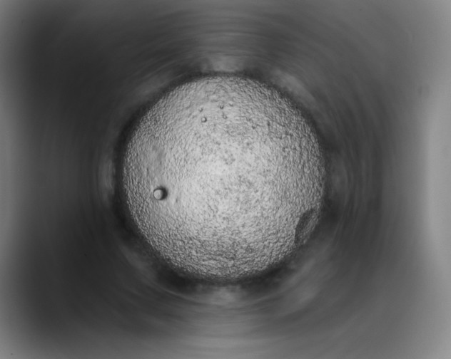 X0000089860683200707121736