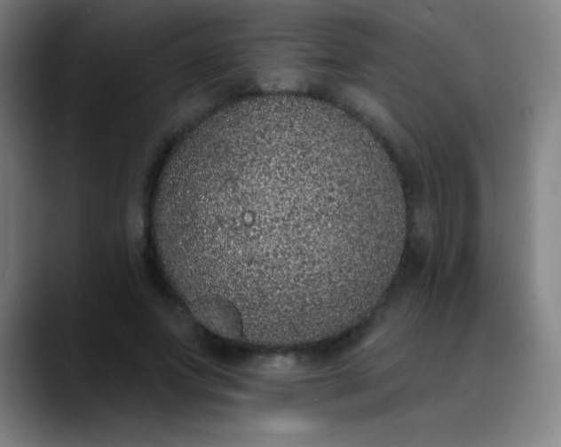 X0000089860687200707121736