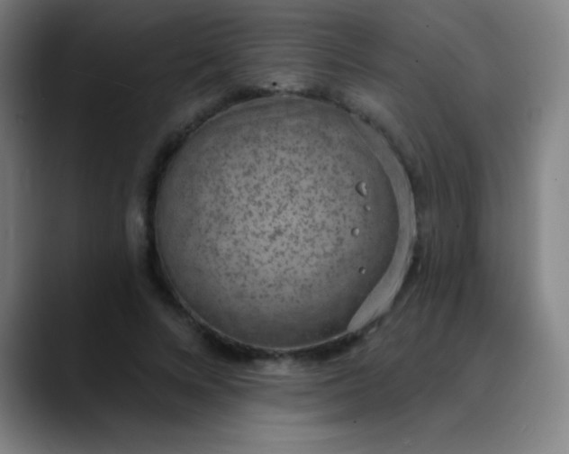 X0000089860688200707121736