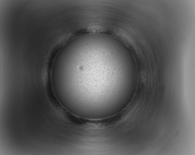 X0000089860690200707121736