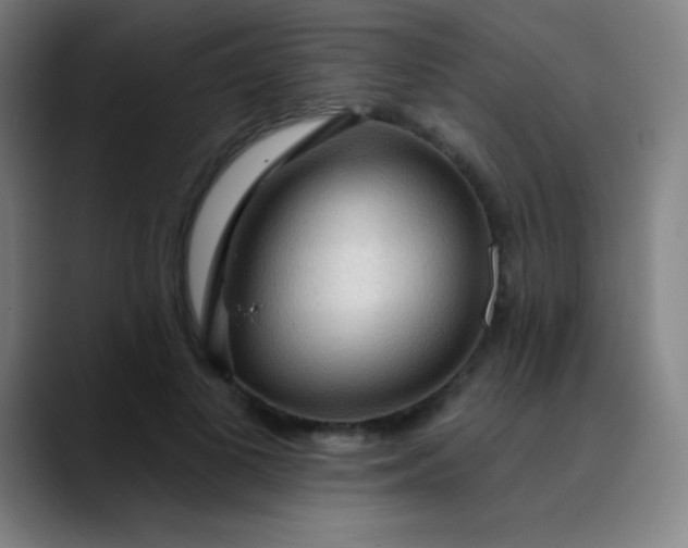 X0000089860693200707121736