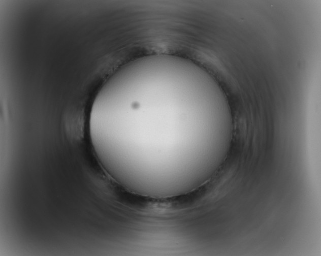 X0000089860694200707121736