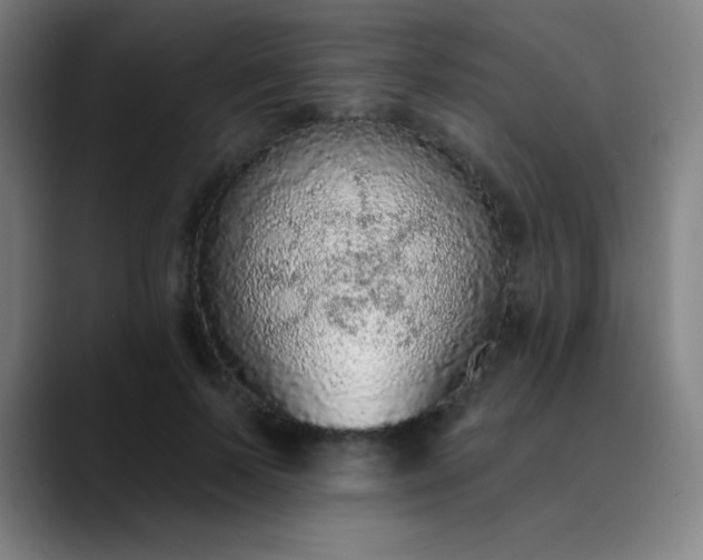 X0000089860695200707121736