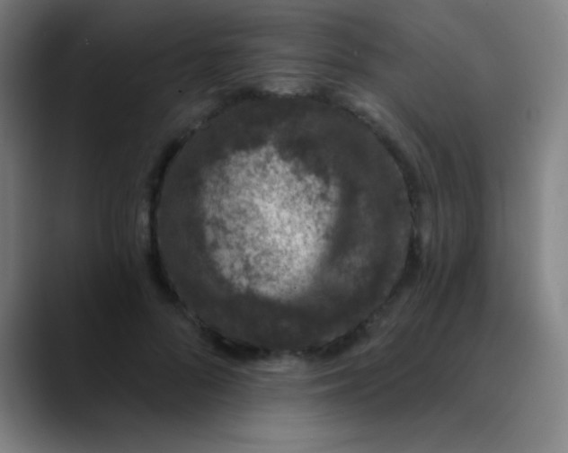 X0000089860696200707121736