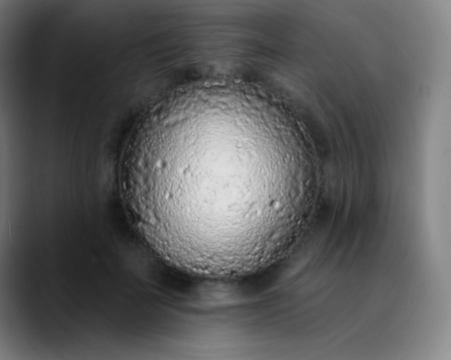 X0000089860699200707121736