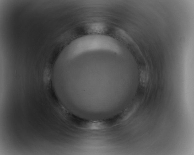 X0000089860701200707121736