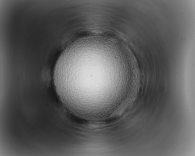 X0000089860707200707121736