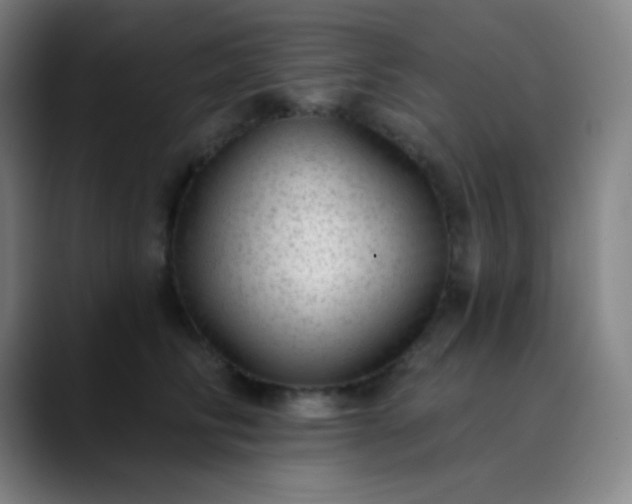 X0000089860710200707121736