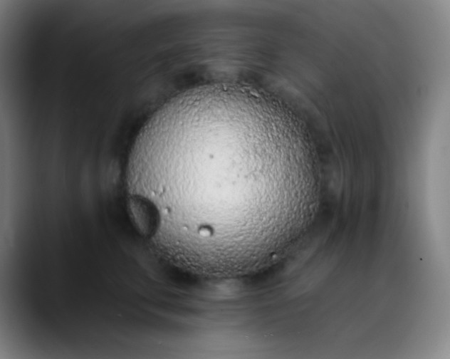 X0000089860711200707121736