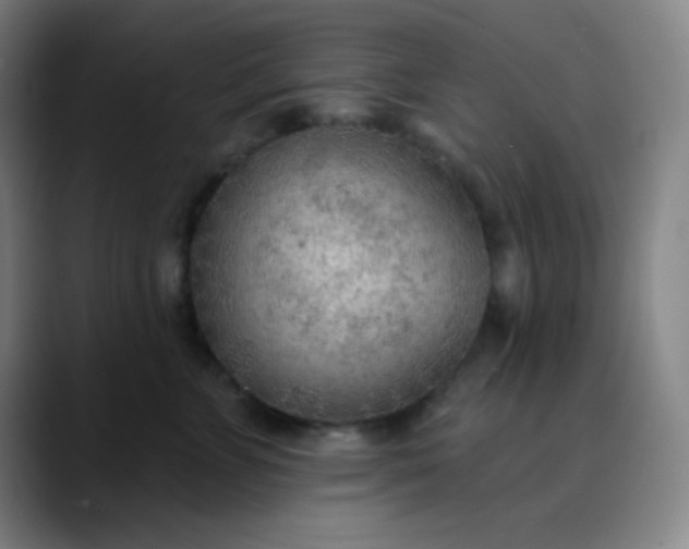 X0000089860715200707121736