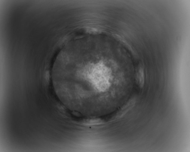 X0000089860716200707121736