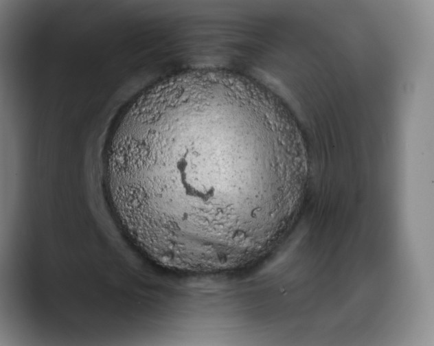 X0000089860721200707121735