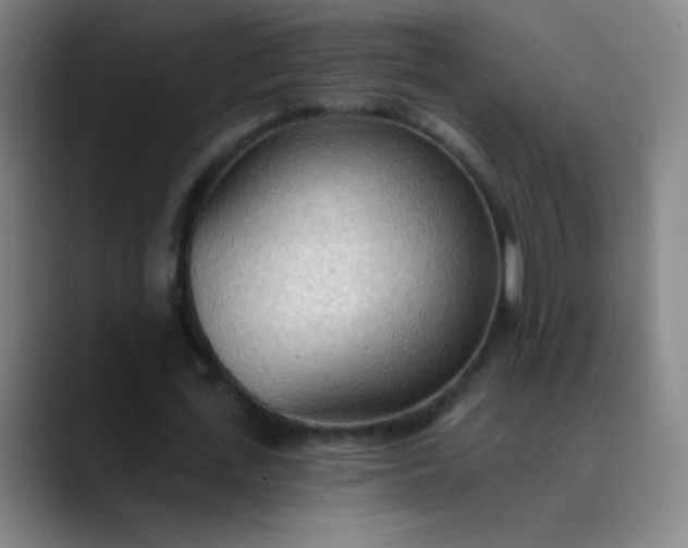 X0000089860723200707121735