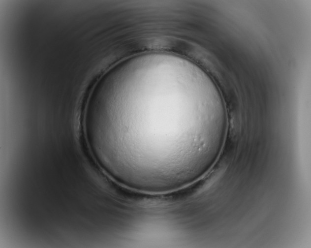 X0000089860725200707121735