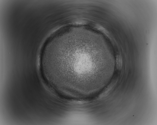 X0000089860726200707121735