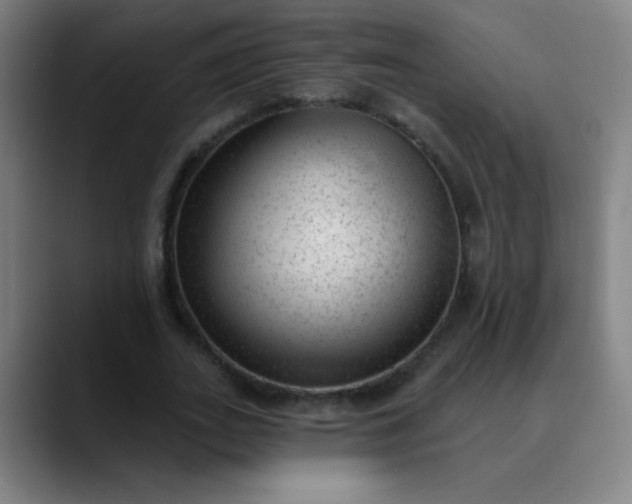 X0000089860727200707121735