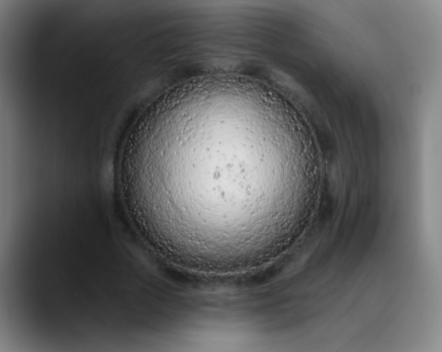 X0000089860729200707121735