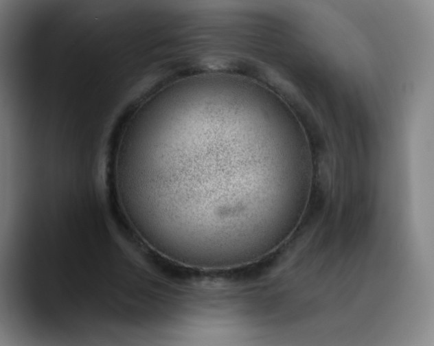 X0000089860730200707121735