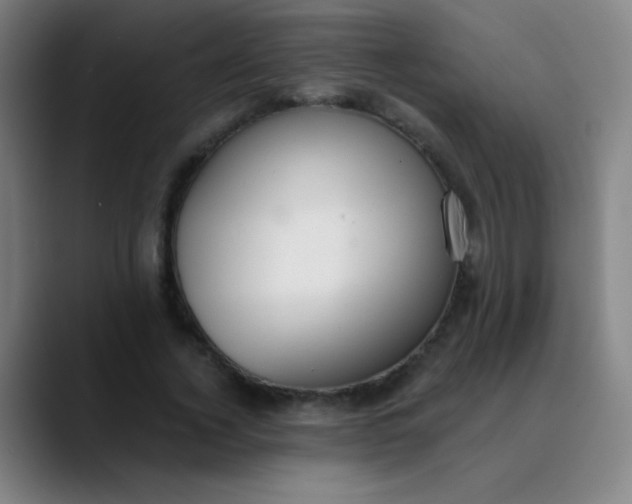 X0000089860732200707121735