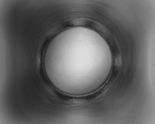 X0000089860733200707121735