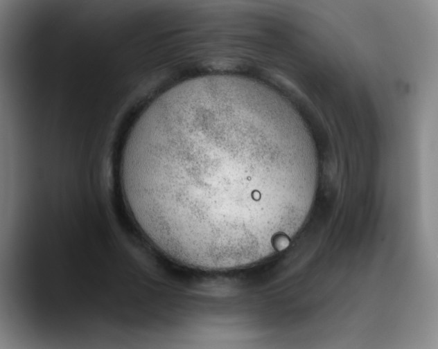 X0000089860734200707121735