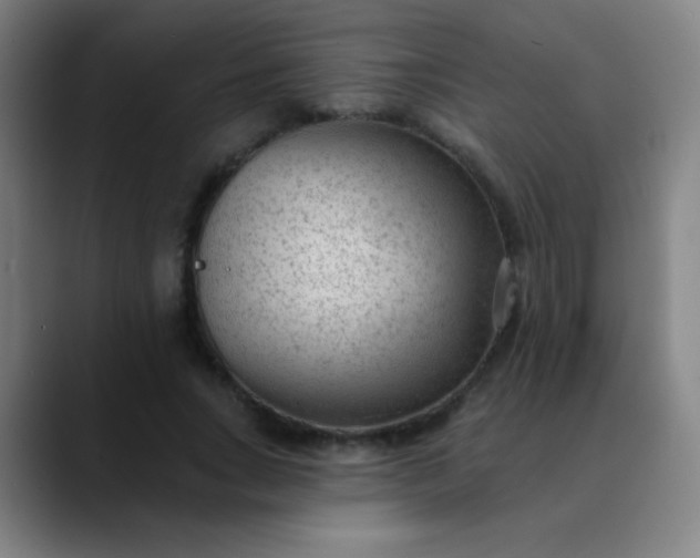 X0000089860735200707121735