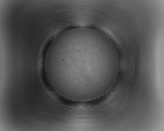 X0000089860736200707121735