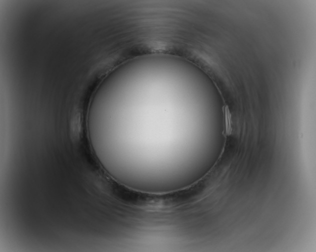 X0000089860740200707121735