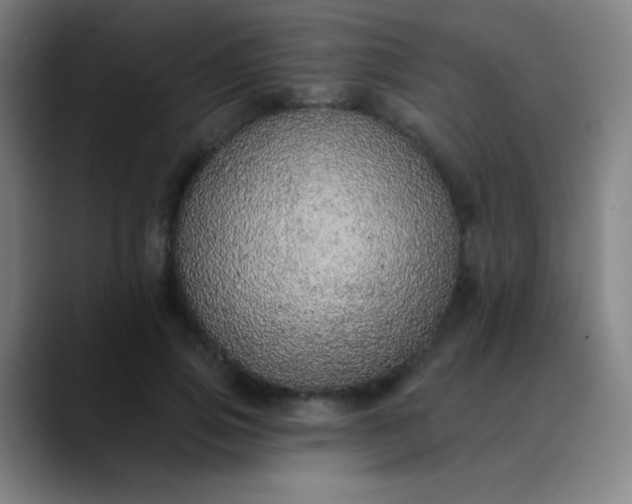 X0000089860741200707121735