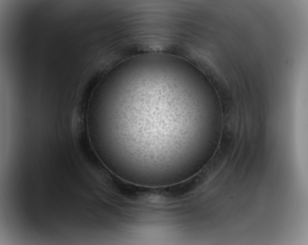 X0000089860743200707121735