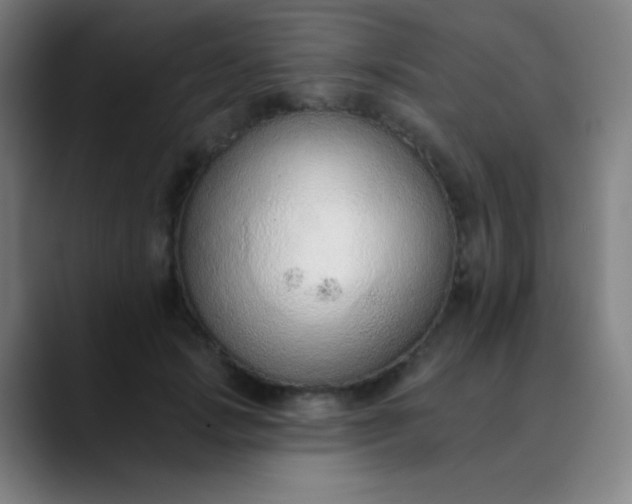 X0000089860749200707121736