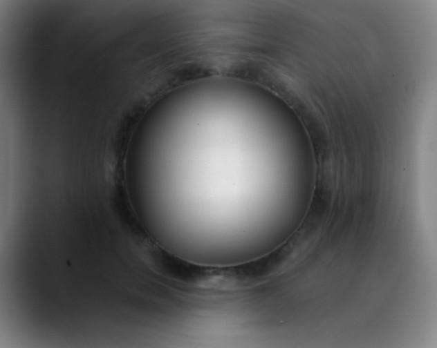 X0000089860750200707121736