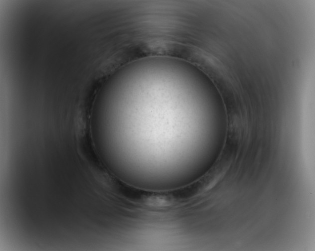 X0000089860751200707121736