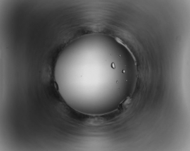 X0000089860752200707121736