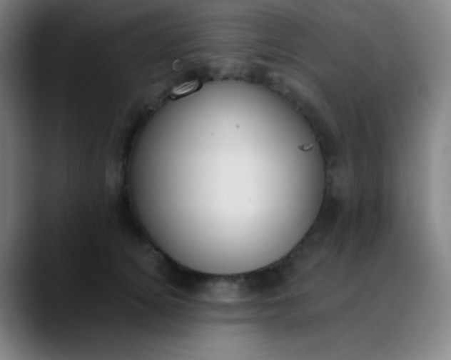 X0000089860756200707121736