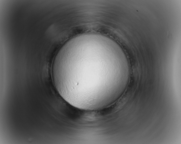 X0000089860757200707121736