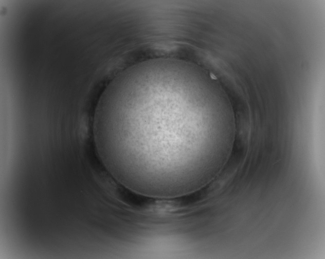 X0000089860758200707121736