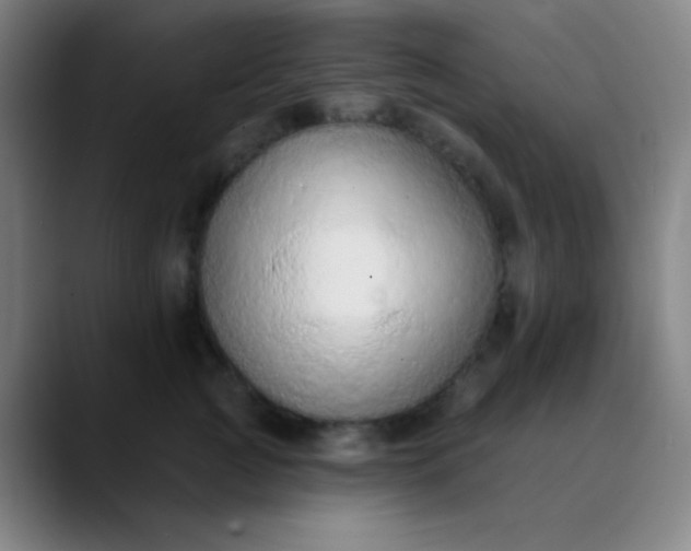 X0000089860761200707121736