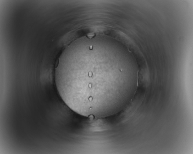 X0000089860762200707121736