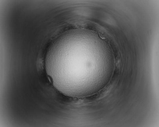 X0000089860772200707121735