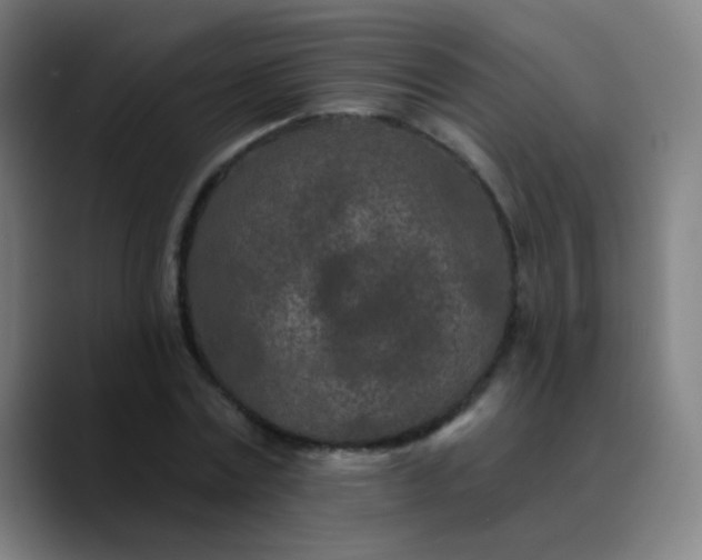 X0000089860779200707121735