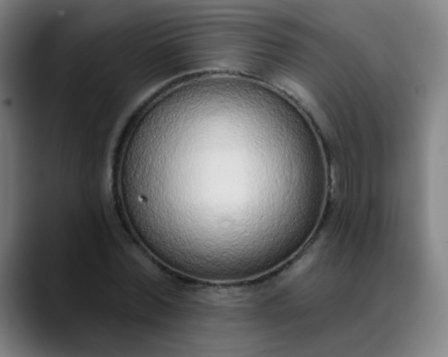 X0000089860780200707121735