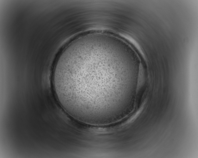 X0000089860783200707121735