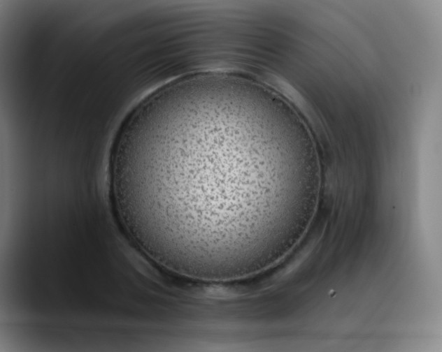 X0000089860787200707121735