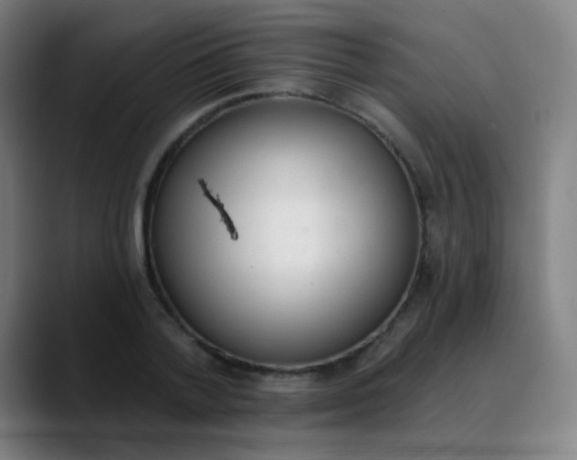 X0000089860788200707121735