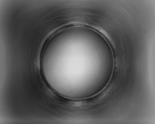 X0000089860791200707121735