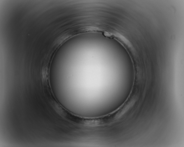 X0000089860793200707121735