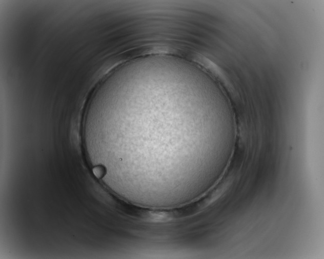 X0000089860794200707121735